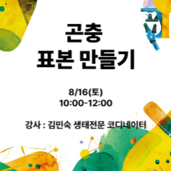 교육이미지