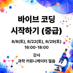 바이브 코딩 시작하기 - 중급 이미지