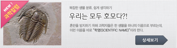 4. 과학칼럼 바로가기