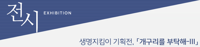 캠프