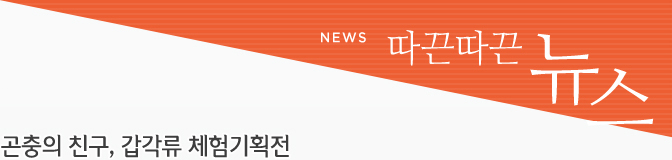 교육