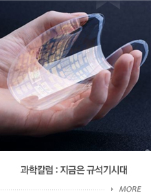 과학칼럼