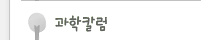 칼럼
