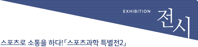 전시