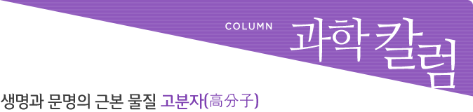과학칼럼