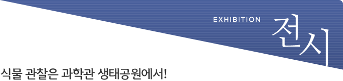 전시
