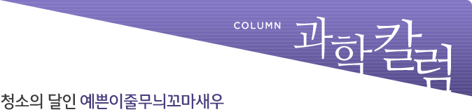 과학칼럼