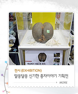 전시