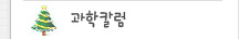 과학칼럼