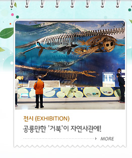전시