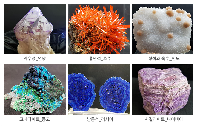 과학전시교육 학부모자문단 발대식