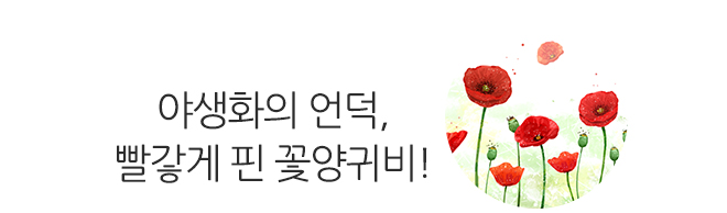 제 1기 청춘과학대학 그 종지부를 찍으며.. 또 다른 기약!