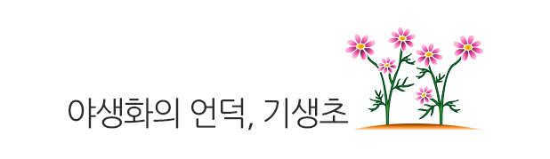 제 1기 청춘과학대학 그 종지부를 찍으며.. 또 다른 기약!