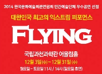 대한민국 최고의 익스트림 퍼포먼스〈FLYING〉 포스터