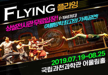 익스트림퍼포먼스<FLAYING : 플라잉> -과천 포스터