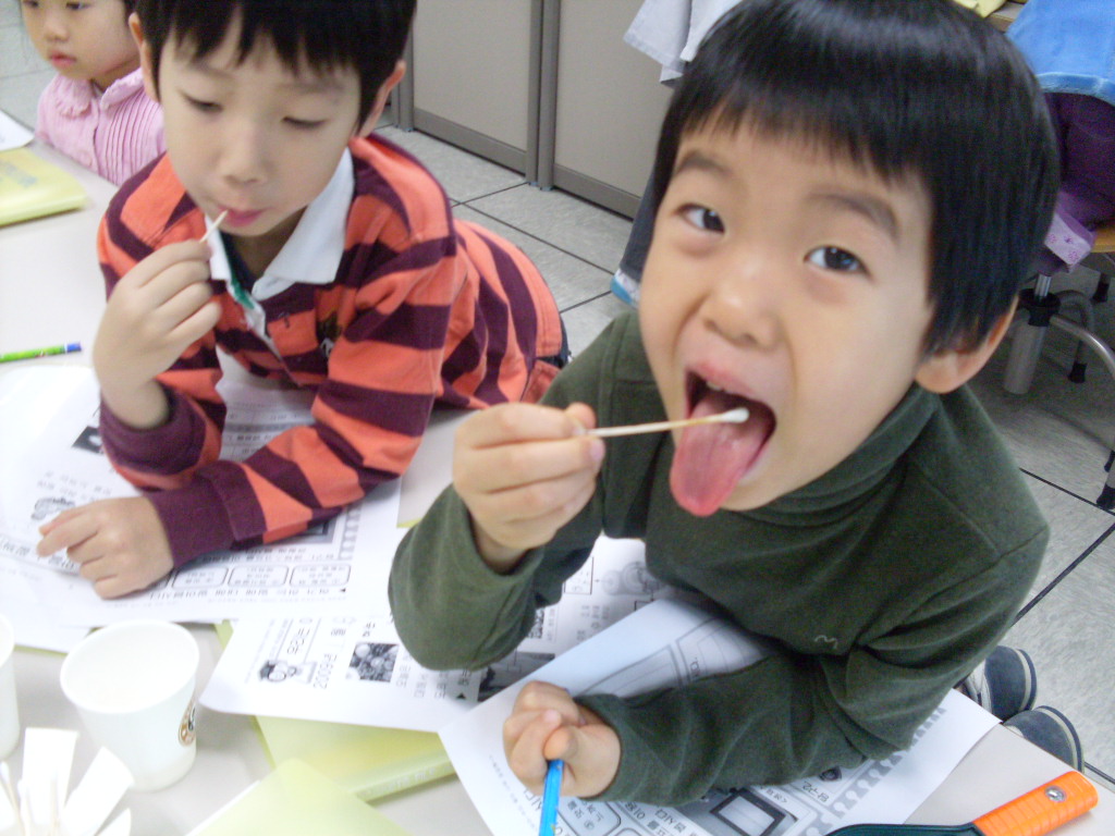 신기한 맛의 세계 