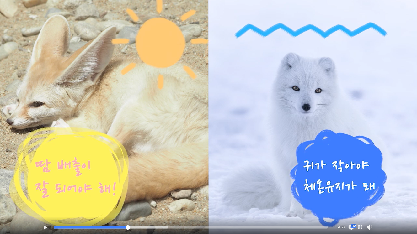 BOARD_IMAGES/21857/42-01.png