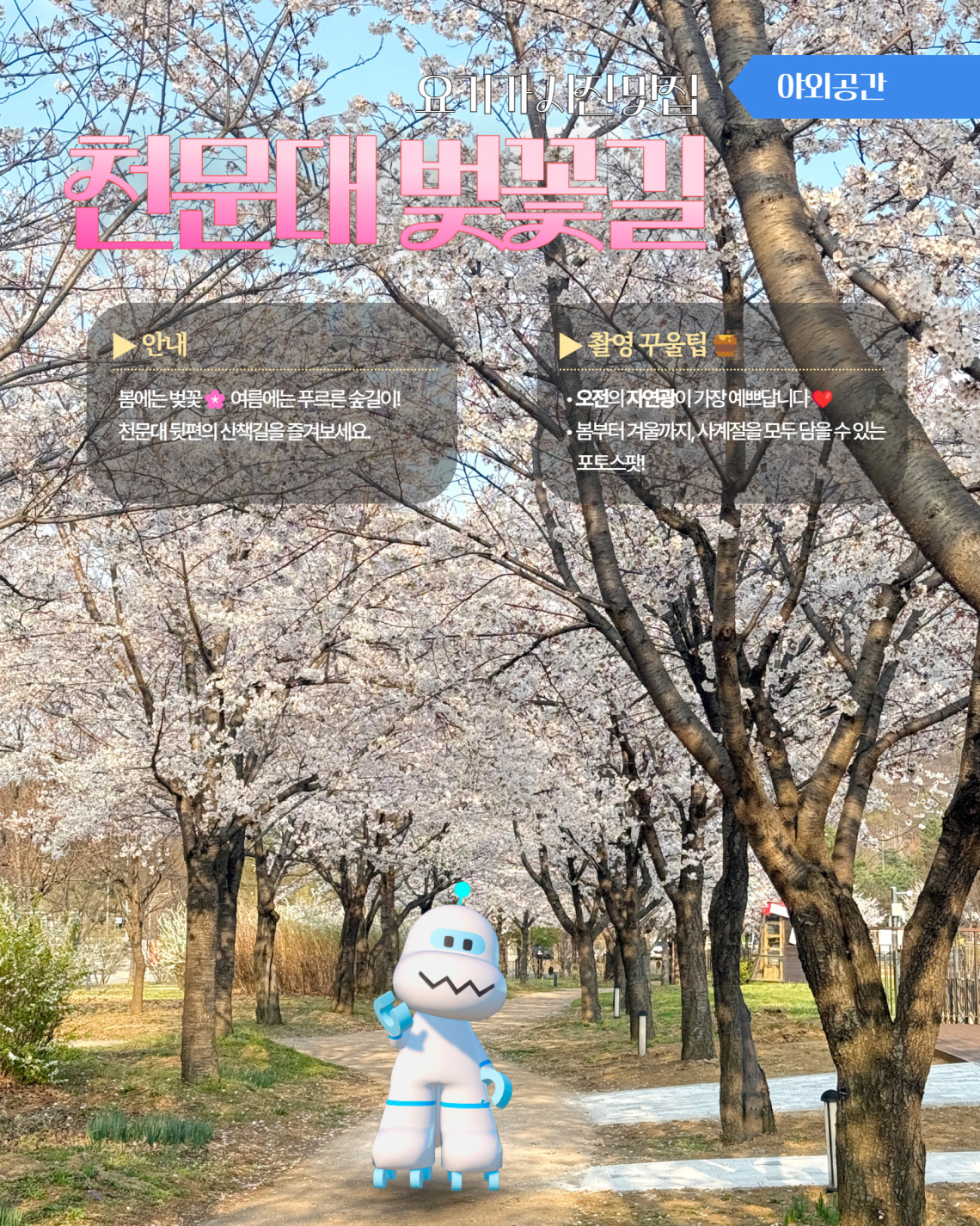 야외공간 요기가 사진 맛집 천문대 벚꽃길 ▶ 안내 봄에는 벚꽃 여름에는 푸르른 숲길이! 천문대 뒷편의 산책길 즐겨보세요. ▶ 촬영 꾸울팁 오전의 자연광이 가장 예쁘답니다 봄부터 겨울까지, 사계절을 모두 담을 수 있는 포토스팟!