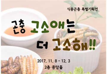 식용곤충특별전 곤충 고소애는 더 고소해!! 