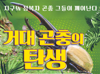 2019「거대 곤충의 탄생」특별전(3.16~5.6)