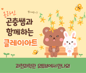 곤충쌤과 함께 하는 클레이아트 