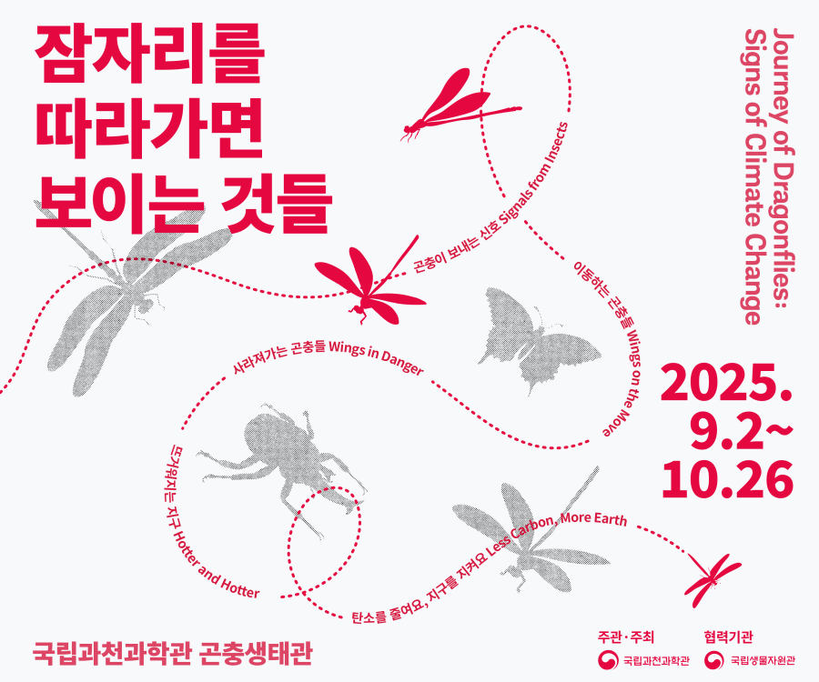 잠자리를 따라가면 보이는 것들. 국립과천과학관 곤충생태관. 2025.9.2~10.26 ... Journey of Dragonfiles: SIgns of Climate Change. 곤충이 보내는 신호 Signals from Insects ... 이동하는 곤충들 Wings on the Move ... 사라져가는 곤충들 Wings in Danger ... 뜨거워지는 지구 Hotter and Hotter ... 탄소를 줄여요, 지구를 지켜요 Less Carbon, More Earth ... 주관·주최 : 국립과천과학관. 협려긱관 : 국립생물자원관.