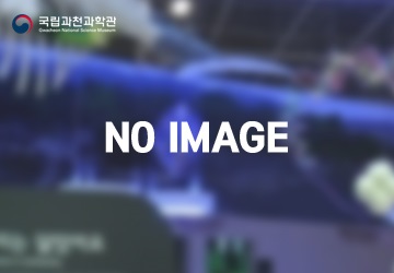 이미지가 존재 하지 않습니다.