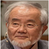 오스미 요시노리 사진